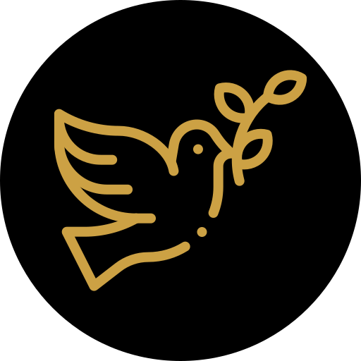 icon paz